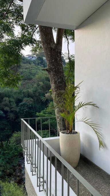 Rumah Lawani Villa *